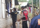 Tim-Laboratorium-forensik--Polda-Bali-Turun-TKP--di-desa-Bugalima-Kec.-Adonara-Barat