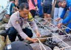 Jaga-Laut-Tetap-Lestari,-Aiptu-Eldorado-Bersama-Polair-dan-Warga-Tanam-Media-Terumbu-Karang-di-Pesisir-Pantai