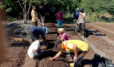 Bhabinkamtibmas-Bersama-PPL-Kec.-Ile-Bura-Dibantu-Anggota-Polsek-Wulanggitang-Berikan-Pelatihan-Cara-Membuat-Bedeng-Tanaman-Holtikultural