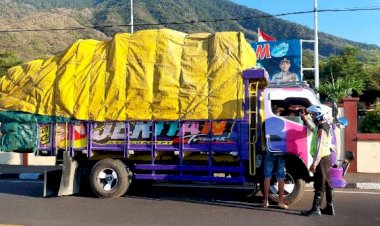 Sat-Lantas-Polres-Flotim-Tertibkan-Mobil-Yang-Kelebihan-Muatan