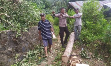 Cegah-Potensi-Kecelakaan-Akibat-Pohon-Tumbang,-Bhabinkamtibmas-Polsek-Adonara-Timur-Melakukan-Pemangkasan-Dibantu-Masyarakat-Setempat