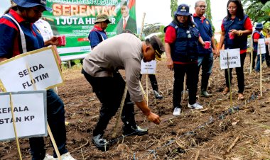 Kapolres-Flotim-Pimpin-Langsung-Penanaman-Jagung-Serentak-1-Juta-Hektar