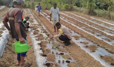 SEMANGAT-PENGABDIAN-AIPDA-HIRONIMUS-T.WERANG-KEPADA-MASYARAKAT-DI-TENGAH-KETERBATASAN-FISIKNYA