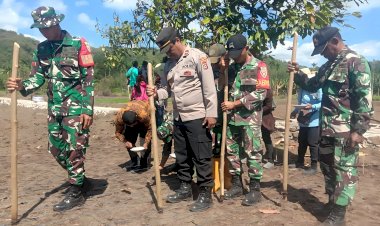 Polsek-Adonara-Dukung-Kegiatan-Tanam-Benih-Padi-Sistem-TABELA-Koramil-1624-02-Bersama-BUMDes-Lanang-Gagah