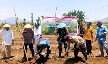 Polsek-Adotim-dan-Polsek-Adonara-Gelar-Penanaman-Jagung-Serentak-Dukung-Swasembada-Pangan-2025