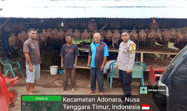 Dukung-Program-Ketahanan-Pangan,-Bhabinkamtibmas-Adonara-Sambangi-Petani-Bawang-Merah-di-Desa-Adonara