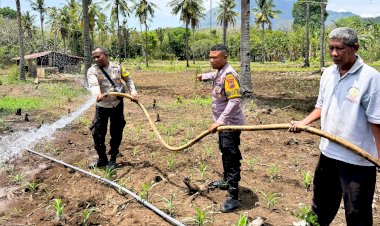 Jagung-Hampir-Layu-di-Musim-Kering,-Bhabinkamtibmas-Datang-Membawa-Harapan
