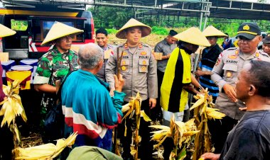 Panen-Raya-di-Titehena,-Polres-Flores-Timur-Bangun-Optimisme-dan-Kemandirian-Pangan