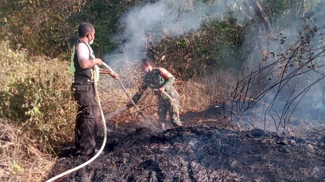 Gotong Royong, Anggota Polsek Wulanggitang Bersama Babinsa Dan Warga Padamkan Api di Hutan Tutupan