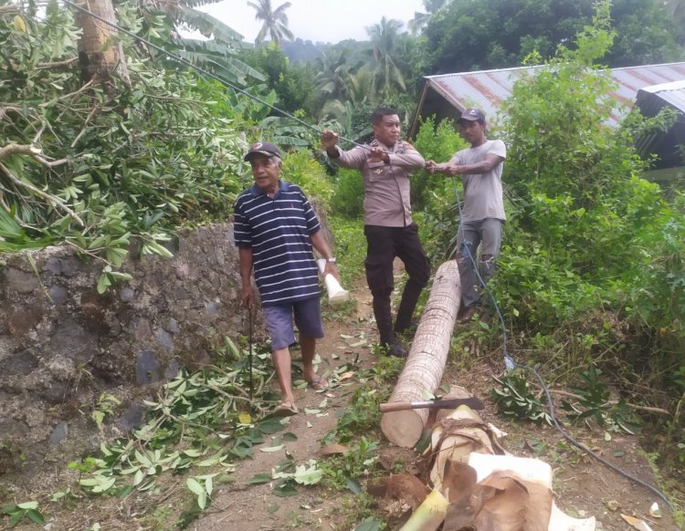 Cegah Potensi Kecelakaan Akibat Pohon Tumbang, Bhabinkamtibmas Polsek Adonara Timur Melakukan Pemangkasan Dibantu Masyarakat Setempat