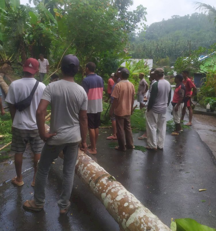 Cegah Potensi Kecelakaan Akibat Pohon Tumbang, Bhabinkamtibmas Polsek Adonara Timur Melakukan Pemangkasan Dibantu Masyarakat Setempat