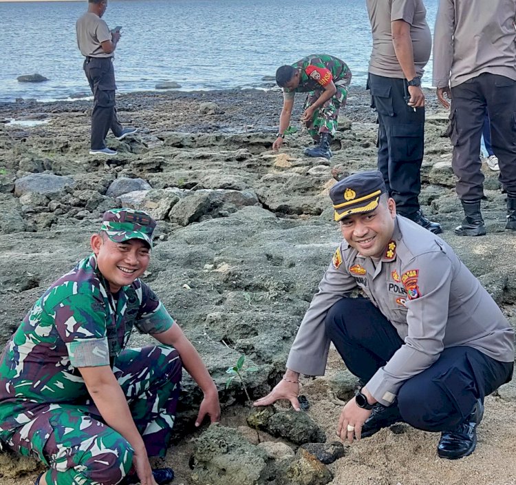 Personel TNI – Polri & Warga Flores Timur Bersinergi Tanam Mangrove di Pesisir Pantai Weri - Larantuka