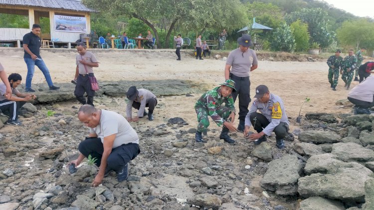 Personel TNI – Polri & Warga Flores Timur Bersinergi Tanam Mangrove di Pesisir Pantai Weri - Larantuka