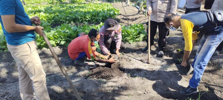 Polsek Wulanggitang Polres Flotim laksanakan Kegiatan Penanaman Pohon dan Ketahanan Pangan dalam rangka Peringatan ke - 78 Hari Bhayangkara Tahun 2024.