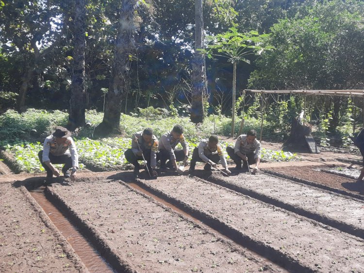 Polsek Adonara Barat Polres Flores Flotim laksanakan Giat tanam pohon dan ketahanan Pangan dalam rangka Hari Bhayangkara ke 78 tahun 2024.