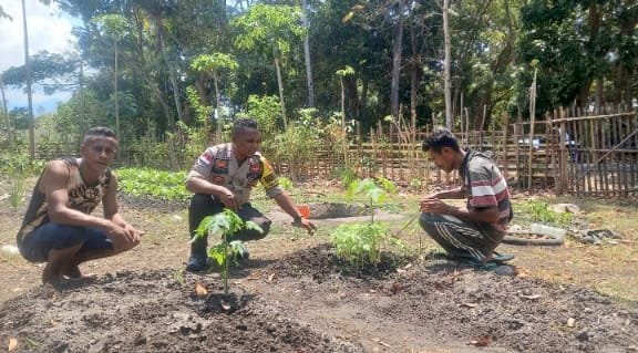 Dorong Semangat Warga Dalam Bertani, Bhabinkamtibmas Bantu Warganya Berkebun