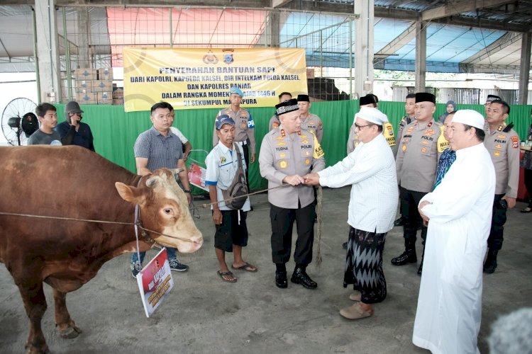 Dukung Acara Guru Sekumpul, Kapolri Berikan Empat Ekor Sapi Limousin