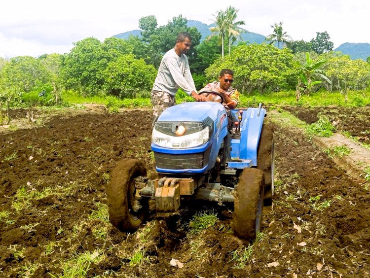 Pembersihan Lahan Perkebunan di Desa Pululera Dalam Rangka Penanaman Jagung Serentak