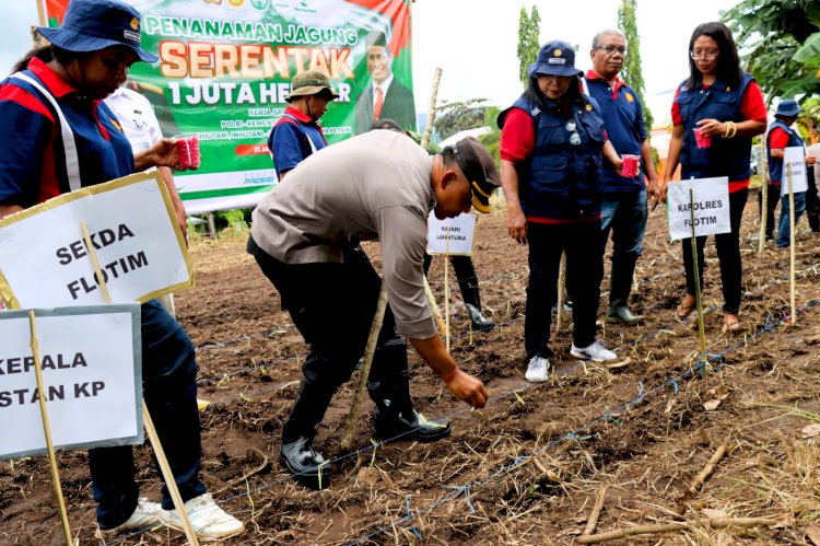 Kapolres Flotim Pimpin Langsung Penanaman Jagung Serentak 1 Juta Hektar