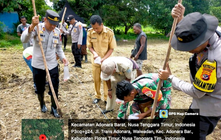 Dukung Ketahanan Pangan, Polsek Jajaran Polres Flores Timur Ikut Serta dalam Penanaman Jagung Serentak 1 Juta Hektar