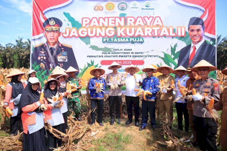 Kapolres Kampar Panen Raya Jagung:  Wujud Dukungan Nyata untuk Ketahanan Pangan Nasional