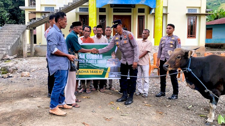 Sambut Idul Adha, Warga Samasoge Terima Sapi Qurban dari Kapolres Flotim
