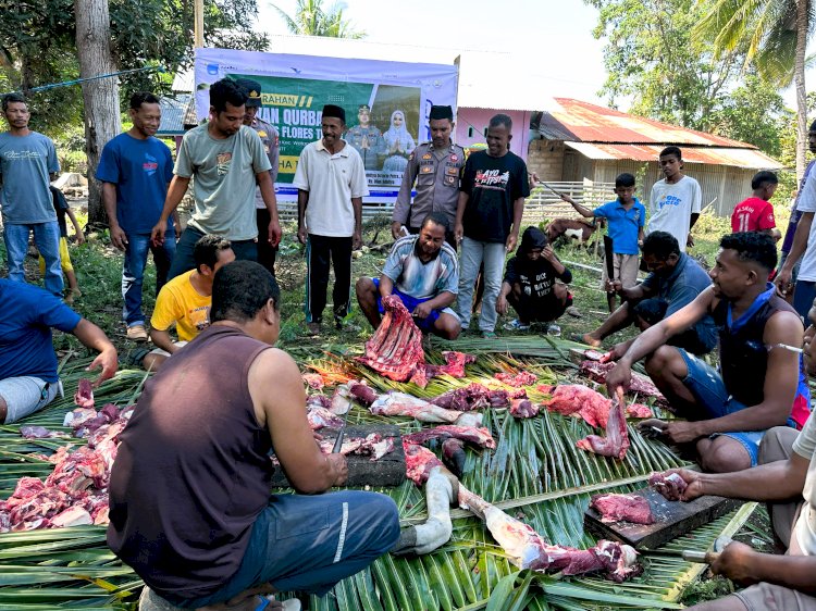 Qurban Perdana Kapolres Flores Timur Bikin Warga Desa Samasoge Terharu: ‘Tak Pernah Kami Duga!