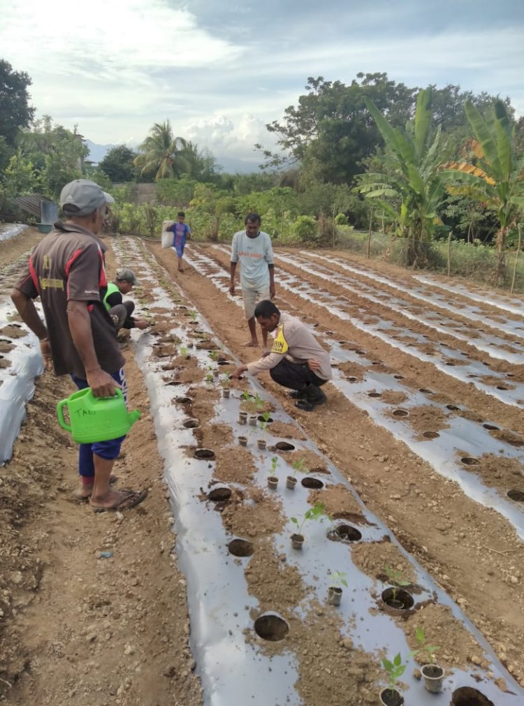 SEMANGAT PENGABDIAN AIPDA HIRONIMUS T.WERANG KEPADA MASYARAKAT DI TENGAH KETERBATASAN FISIKNYA