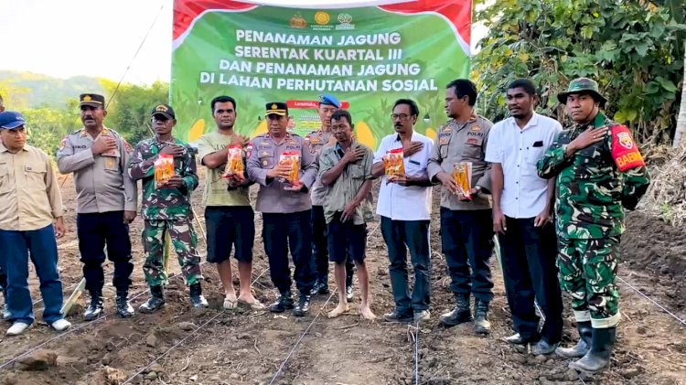 Wakapolres Flotim Pimpin Penanaman Jagung di Adonara, Dorong Ketahanan Pangan Daerah