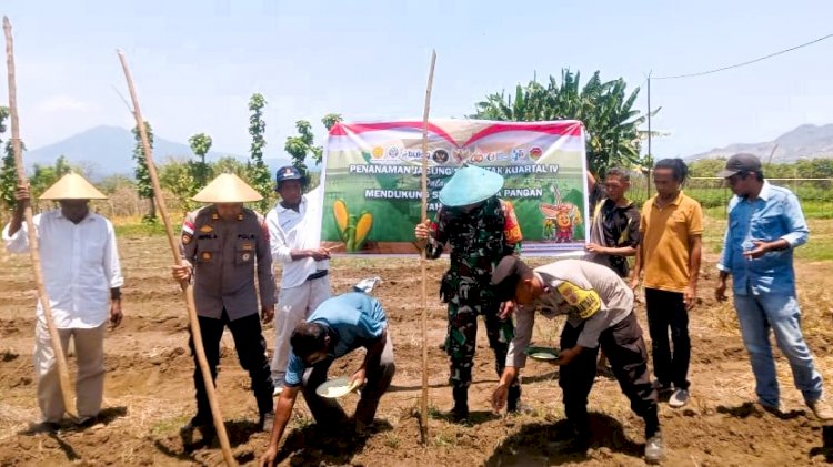 Polsek Adotim dan Polsek Adonara Gelar Penanaman Jagung Serentak Dukung Swasembada Pangan 2025