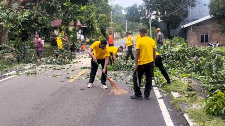 Antisipasi Cuaca Ekstrem, Polres dan BPBD Flotim Lakukan Pemangkasan Pohon Rawan Tumbang
