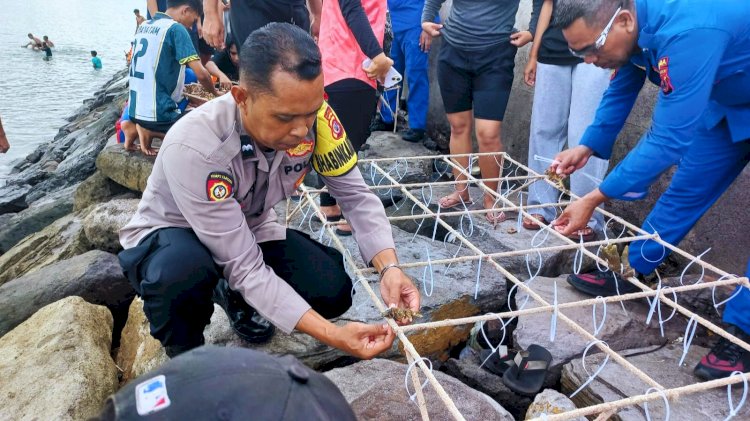 Jaga Laut Tetap Lestari, Aiptu Eldorado Bersama Polair dan Warga Tanam Media Terumbu Karang di Pesisir Pantai