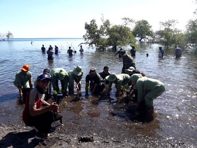 TNI POLRI SOLID, Tanam Mangrove di Pantai Delang TNI POLRI dan Masyarakat Bergotong Royong