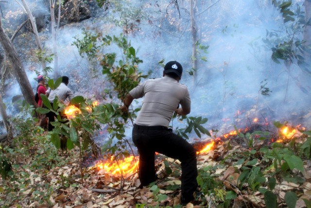Polres Flotim Bersama Instansi Terkait Bantu Padamkan Kebakaran Hutan di Gunung Ile Mandri