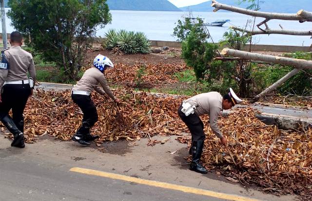 Sat Lantas Polres Flotim Bersihkan Jalan Pasca Terjadinya Pohon Tumbang